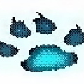 Aqua-5 cat print